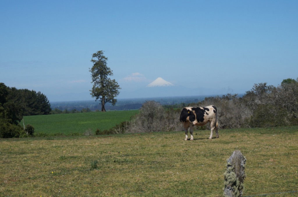 volcan